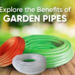 WhatsApp Image 2026-03-17 at 6.50.07 PM