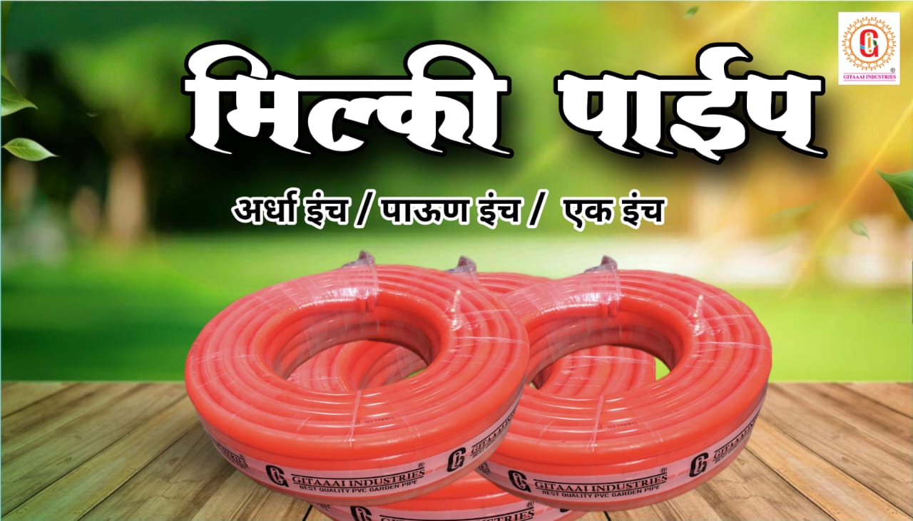 WhatsApp Image 2026-03-23 at 3.50.09 PM (1)